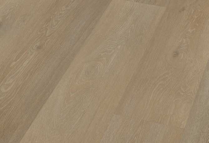 Oak florenceti